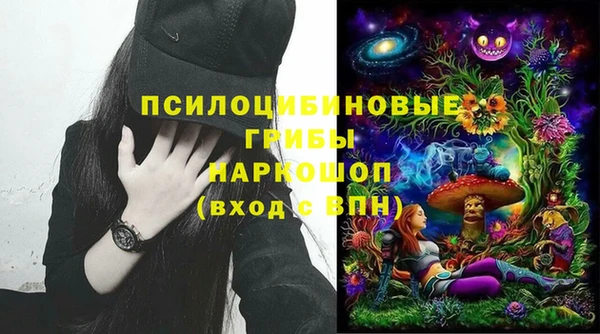 индика Бронницы