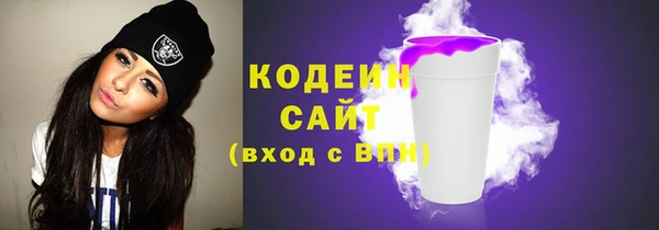 индика Бронницы